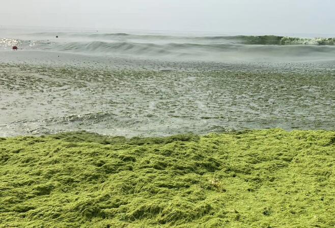 ����(gu��)�����Ʋ��麣���ֹ�˾,�Ї�(gu��)�麣���ֹ�˾��(ji��n)��
