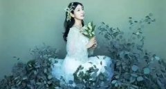 ���Ż������Y(ji��)��ϲӍ,���Ѵ�̩����������