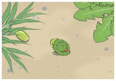 ������������ô�к���?Ů�Ԟ�ʲôҲ���L���ӣ�