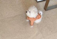 ����Ӗ�������X?�ְֳ�ĕr��ҲҪӖ������